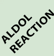 Aldol Reaction